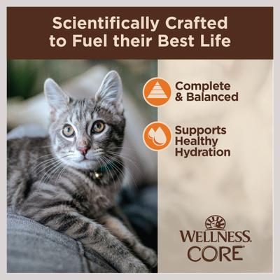 Show full view: Wellness CORE Tiny Tasters Chicken Grain-Free Minced Wet Cat Food, 1.75-oz pouch, case of 12 slide 5 of 12