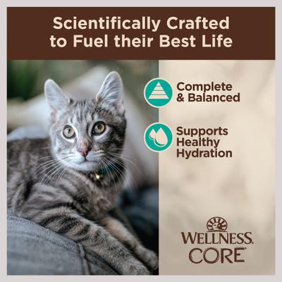 Show full view: Wellness CORE Tiny Tasters Tuna & Salmon Grain-Free Flaked Wet Cat Food, 1.75-oz pouch, case of 12 slide 5 of 12