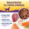 Show in main carousel: Wellness Venison & Salmon Stew with Potatoes & Carrots Canned Dog Food, 12.5-oz, case of 12 slide 6 of 11