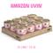 Show in main carousel: Weruva Amazon Livin' with Chicken Breast & Chicken Liver in Gravy Cat Food, 3-oz, case of 24 slide 3 of 13