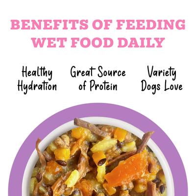 Show full view: Weruva Awesome Belly, Beef, White Rice & Pumpkin Recipe with Turmeric & Ginger Adult Gluten-Free Shredded Canned Wet Dog Food, 6-oz can, case of 8 slide 6 of 12