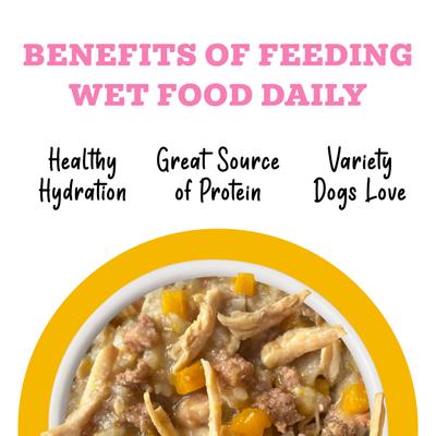 Show full view: Weruva Awesome Belly, Chicken Breast, White Rice & Pumpkin Recipe Adult Gluten-Free Shredded Canned Wet Dog Food, 14-oz can, case of 10 slide 6 of 12