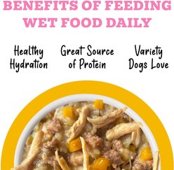 Weruva Awesome Belly, Chicken Breast, White Rice & Pumpkin Recipe Adult Gluten-Free Shredded Canned Wet Dog Food, 6-oz can, case of 8 slide 2 of 9