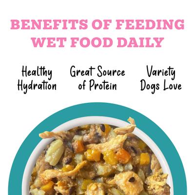 Show full view: Weruva Awesome Belly, Chicken Breast, White Rice & Pumpkin Recipe with Papaya, Turmeric & Ginger Adult Gluten-Free Shredded Canned Wet Dog Food, 14-oz can, case of 10 slide 6 of 12
