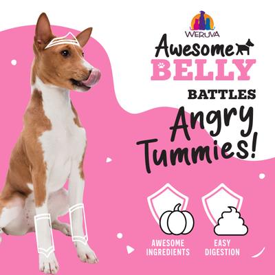 Show full view: Weruva Awesome Belly Sensitive Stomach Superhero Variety Pack Adult Gluten-Free Chicken Shredded Canned Wet Dog Food, 6-oz can, case of 9 slide 9 of 11