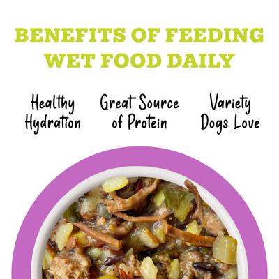 Show full view: Weruva Awesome Bouncy, Beef & Riceberry Recipe with Turmeric & Ginger Adult Gluten-Free Shredded Canned Wet Dog Food, 14-oz can, case of 10 slide 6 of 12
