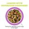 Show in main carousel: Weruva Awesome Bouncy, Beef & Riceberry Recipe with Turmeric & Ginger Adult Gluten-Free Shredded Canned Wet Dog Food, 14-oz can, case of 10 slide 4 of 12