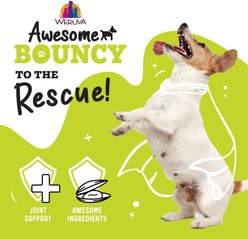 Weruva Awesome Bouncy, Beef & Riceberry Recipe with Turmeric & Ginger Adult Gluten-Free Shredded Canned Wet Dog Food, 6-oz can, case of 8 slide 2 of 9