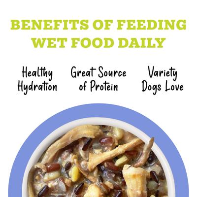 Show full view: Weruva Awesome Bouncy, Chicken Breast & Riceberry Recipe with Turmeric & Ginger Adult Gluten-Free Shredded Canned Wet Dog Food, 6-oz can, case of 8 slide 6 of 12