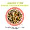 Show in main carousel: Weruva Awesome Bouncy, Chicken Breast & Riceberry Recipe with Veggies, Turmeric & Ginger Adult Gluten-Free Shredded Canned Wet Dog Food, 14-oz can, case of 10 slide 4 of 12