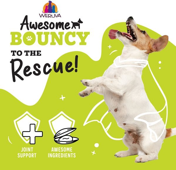 Weruva Awesome Bouncy Magnificent Mobility Variety Pack Adult Gluten-Free Chicken Shredded Canned Wet Dog Food