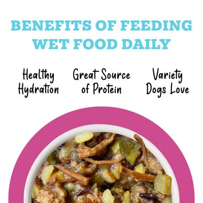 Show full view: Weruva Awesome Shiny, Beef & Brown Rice Recipe with Flaxseed Adult Gluten-Free Shredded Canned Wet Dog Food, 14-oz can, case of 10 slide 6 of 12