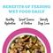 Show in main carousel: Weruva Awesome Shiny, Beef & Brown Rice Recipe with Flaxseed Adult Gluten-Free Shredded Canned Wet Dog Food, 6-oz can, case of 8 slide 6 of 12