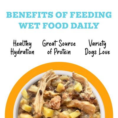 Show full view: Weruva Awesome Shiny, Chicken Breast & Brown Rice Recipe with Flaxseed Adult Gluten-Free Shredded Canned Wet Dog Food, 6-oz can, case of 8 slide 6 of 12