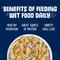 Show in main carousel: Weruva Bed & Breakfast with Chicken, Egg, Pumpkin & Ham in Gravy Grain-Free Canned Dog Food, 14-oz, case of 12 slide 6 of 13
