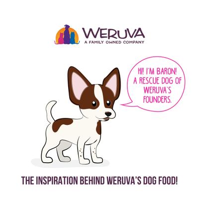 Show full view: Weruva Best Fido Friend Fun Size Meals Kiss Me Thrice Wet Dog Food, 2.75-oz cup, case of 12 slide 7 of 12