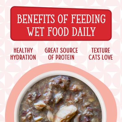 Show full view: Weruva Cats in the Kitchen Mack, Jack & Sam Salmon, Mackerel & Tuna Recipe Grain-Free Cat Food Pouches, 3-oz pouch, case of 12 slide 8 of 13