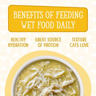 Show full view: Weruva Cats in the Kitchen Pumpkin Lickin' Chicken in Pumpkin Soup Grain-Free Cat Food Pouches, 3-oz pouch, case of 12 slide 8 of 13