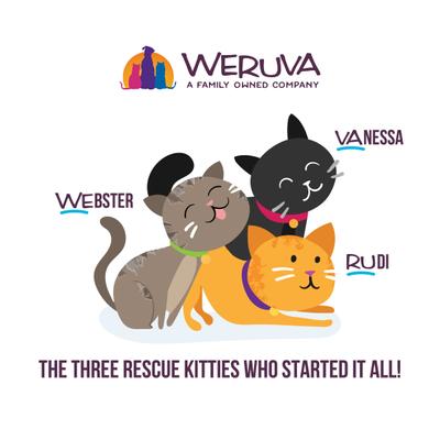 Show full view: Weruva Cats in the Kitchen The Coolsville Catch! Variety Pack Wet Cat Food, 6.0-oz can, case of 12 slide 9 of 12