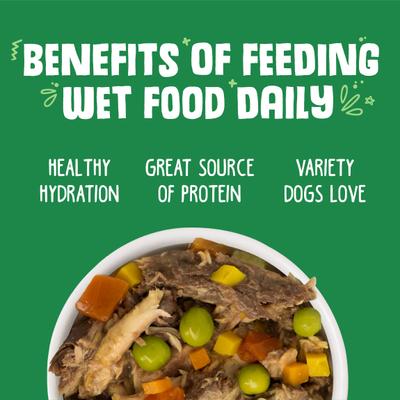 Show full view: Weruva Cirque De La Mer with Tuna & Veggies in Pumpkin Soup Grain-Free Canned Dog Food, 5.5-oz, case of 24 slide 6 of 12