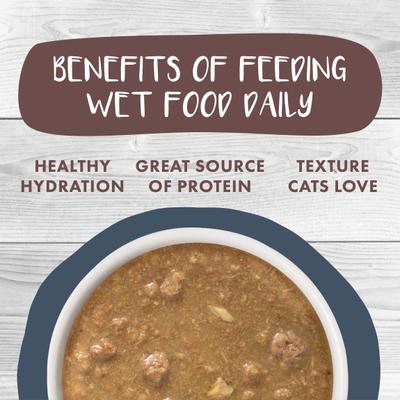 Show full view: Weruva Classic Cat Goody Stew Shoes Chicken & Salmon in Gravy Stew Canned Cat Food, 5.5-oz can, case of 8 slide 7 of 12