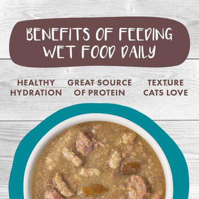 Show full view: Weruva Classic Cat Stew's Clues Turkey, Chicken & Salmon in Gravy Stew Wet Canned Cat Food, 2.8-oz can, case of 12 slide 7 of 12