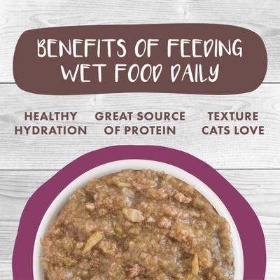 Show full view: Weruva Classic Cat Stick a Spork in It Duck & Salmon in Gravy Stew Cat Food Pouches, 3-oz pouch, 12 count slide 6 of 12