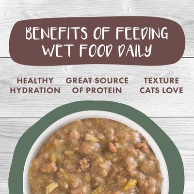 Show full view: Weruva Classic Cat Stir the Pot with Lamb, Chicken & Salmon in Gravy Stew Cat Food Pouches, 3-oz pouch, 12 count slide 6 of 12