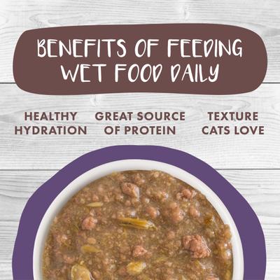 Show full view: Weruva Classic Cat Too Hot to Handle Chicken, Duck & Salmon in Gravy Stew Cat Food Pouches, 3-oz pouch, 12 count slide 6 of 12