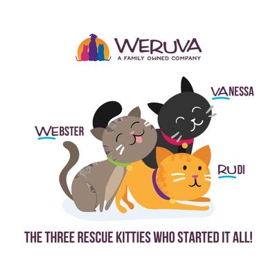 Show full view: Weruva Classic Cat Who Wants To Be A Meowionaire Chicken & Pumpkin Pate Canned Cat Food, 5.5-oz, 8 count slide 10 of 13
