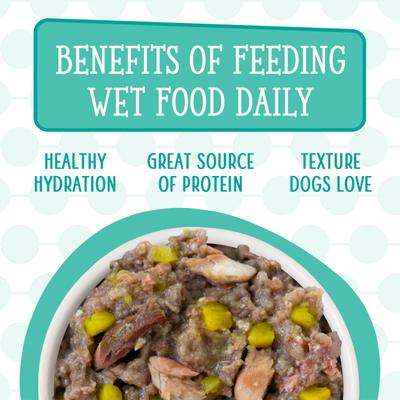 Show full view: Weruva Dogs in the Kitchen Doggie Dinner Dance! Variety Pack Grain-Free Canned Dog Food, 10-oz cans, 12 count slide 6 of 12