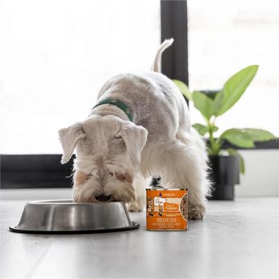 Show full view: Weruva Dogs in the Kitchen Goldie Lox with Chicken & Wild Caught Salmon Au Jus Grain-Free Canned Dog Food, 10-oz can, 12 count slide 10 of 12