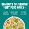 Show in main carousel: Weruva Funky Chunky Chicken Soup with Pumpkin Grain-Free Canned Cat Food, 3-oz, case of 24 slide 7 of 13