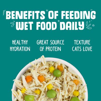 Show full view: Weruva Funky Chunky Chicken Soup with Pumpkin Grain-Free Canned Cat Food, 3-oz, case of 24 slide 7 of 13