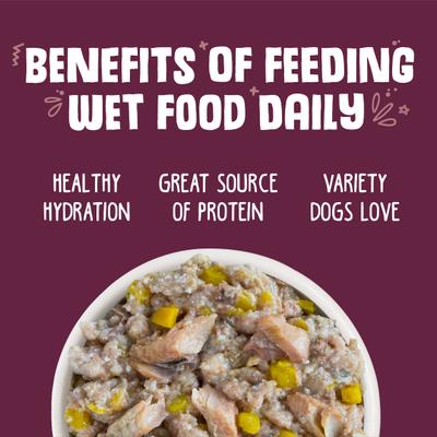 Show full view: Weruva Hot Dayam! with Luscious Lamb in Gelee Grain-Free Canned Dog Food, 14-oz, case of 12 slide 6 of 12