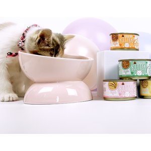 Weruva Kitten Chicken Breast Formula in a Hydrating Puree Wet Cat Food, 3-oz can, case of 4