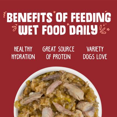 Show full view: Weruva Marbella Paella with Mackerel & Pumpkin in Aspic Grain-Free Canned Dog Food, 5.5-oz, case of 24 slide 6 of 12