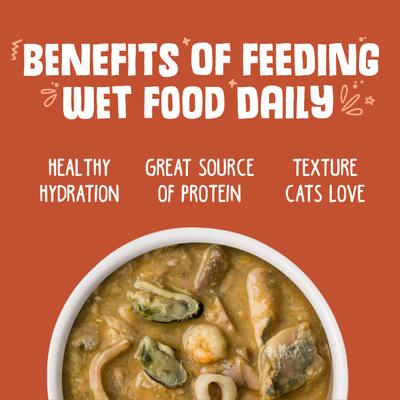 Show full view: Weruva Marbella Paella with Mackerel, Shrimp & Mussels Grain-Free Canned Cat Food, 3-oz, case of 24 slide 7 of 13