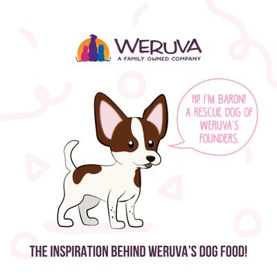 Show full view: Weruva Meals 'n More Natural Wet Dog Food, Bed & Breakfast Plus Digestive Support, 3.5-oz cup, 12 count slide 9 of 13