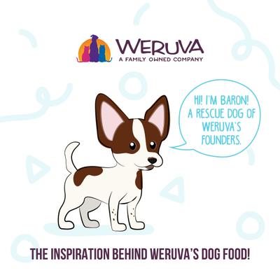 Show full view: Weruva Meals 'n More Natural Wet Dog Food, Paw Lickin’ Chicken Plus Skin & Coat Health, 3.5-oz cup, 12 count slide 9 of 13