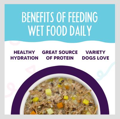 Show full view: Weruva Meals 'n More Natural Wet Dog Food, Steak Frites Dinner Plus Skin & Coat Health, 3.5-oz cup, 12 count slide 7 of 13