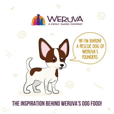 Show full view: Weruva Peking Ducken with Chicken & Duck in Gravy Grain-Free Canned Dog Food, 5.5-oz, case of 24 slide 10 of 13