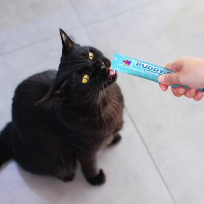 Show full view: Weruva Puddy Pops Tuna & Salmon Grain-Free Lickable Cat Treats, 0.5-oz tube, 5 count slide 8 of 11