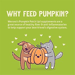 Weruva Pumpkin Patch Up! Dog & Cat Food Supplement Pouches, 2.80-oz, case of 12 slide 2 of 9
