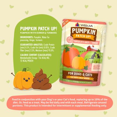 Show full view: Weruva Pumpkin Patch Up! Pumpkin with Ginger & Turmeric Dog & Cat Wet Food Supplement, 2.8-oz pouch, case of 12 slide 9 of 14
