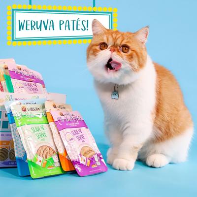 Show full view: Weruva Slide N' Serve Love Connection Chicken & Salmon Dinner Pate Grain-Free Cat Food Pouches, 2.8-oz pouch, case of 12 slide 10 of 13