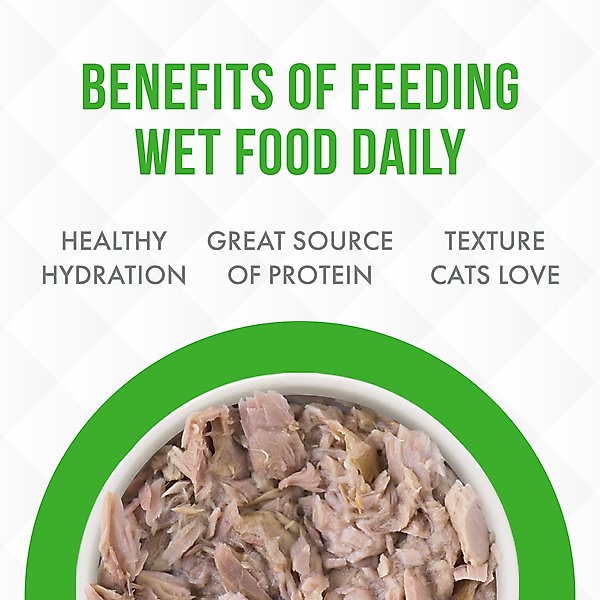 Weruva Truluxe Kawa Booty with Kawakawa Tuna in Gravy Grain-Free Canned Cat Food