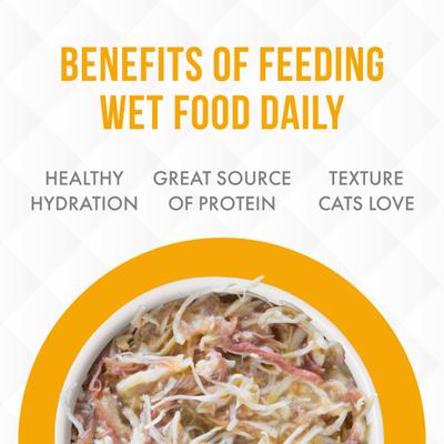 Show full view: Weruva Truluxe On The Cat Wok with Chicken & Beef in Pumpkin Soup Grain-Free Canned Cat Food, 6-oz, case of 24 slide 7 of 13