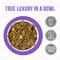 Show in main carousel: Weruva Truluxe Steak Frites Dinner Beef & Pumpkin in Gravy Grain-Free Wet Cat Food, 6-oz, case of 24 slide 4 of 14