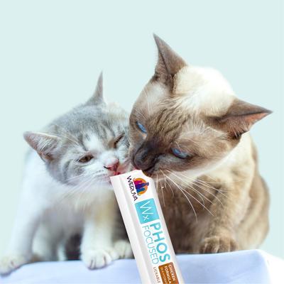 Show full view: Weruva Wx Phos Focused Chicken Formula Grain-Free Lickable Cat Treats, 0.5-oz tube, 5 count slide 8 of 11